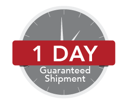 One Day Shipment Icon